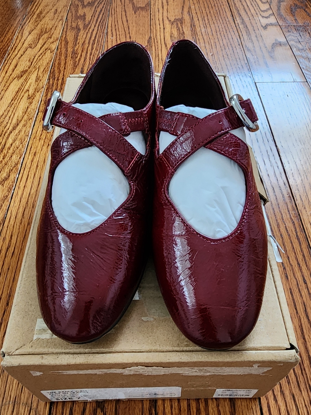Madewell Remy Crinkled Patent Leather Mary Jane Flat 7 Wine Burgundy Balletcore